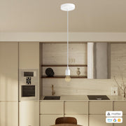 PENDEL CONFIG MATTER 12433