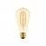 LED Gouden LED Carbon filament lamp C54 Edison ST64 7W E27 Dimbaar 2700K