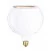 LED Lamp Transparante Ghost Lijn CRI 90 G200 5W 350Lm E27 2200K Dimbaar - G06